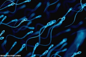 广州试管婴儿成功率如何？影响广州中医大试管婴儿成功率的关键因素有哪些？